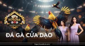 Đá gà Cửa Đạo