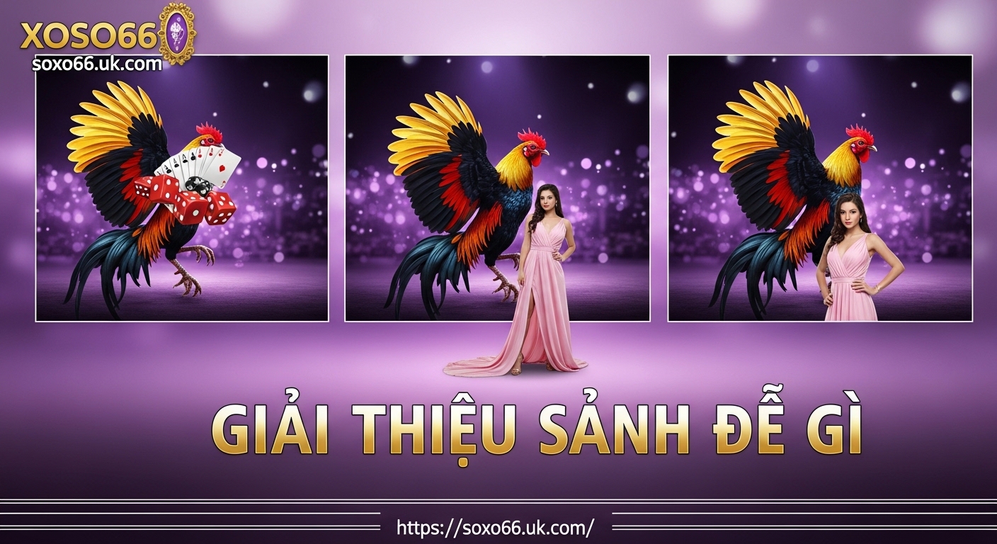 GIẢI THIỆU SẢNH ĐỀ GÌ