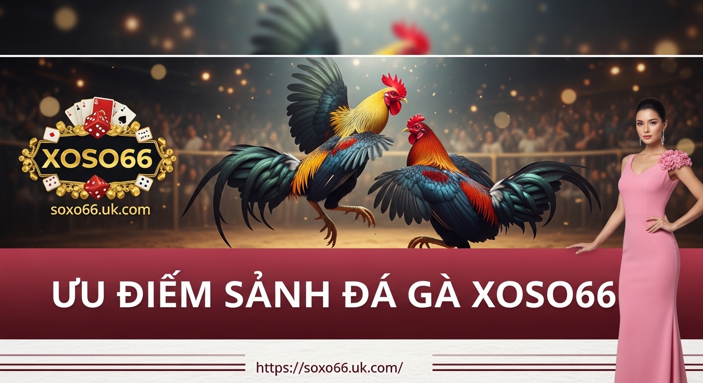 ƯU ĐIẾM SẢNH ĐÁ GÀ XOSO66