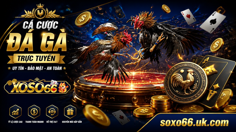 Cược Gà Trực Tuyến XOSO66