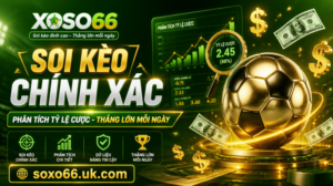 Soi Kèo Chính Xác - Phân Tích Tỷ Lệ Cược